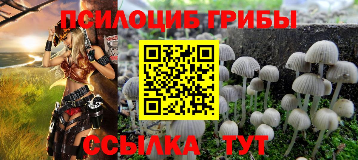 Галлюциногенные грибы MAGIC MUSHROOMS  Вход с VPN  Галлюциногенные грибы прущие грибы  Каспийск 
