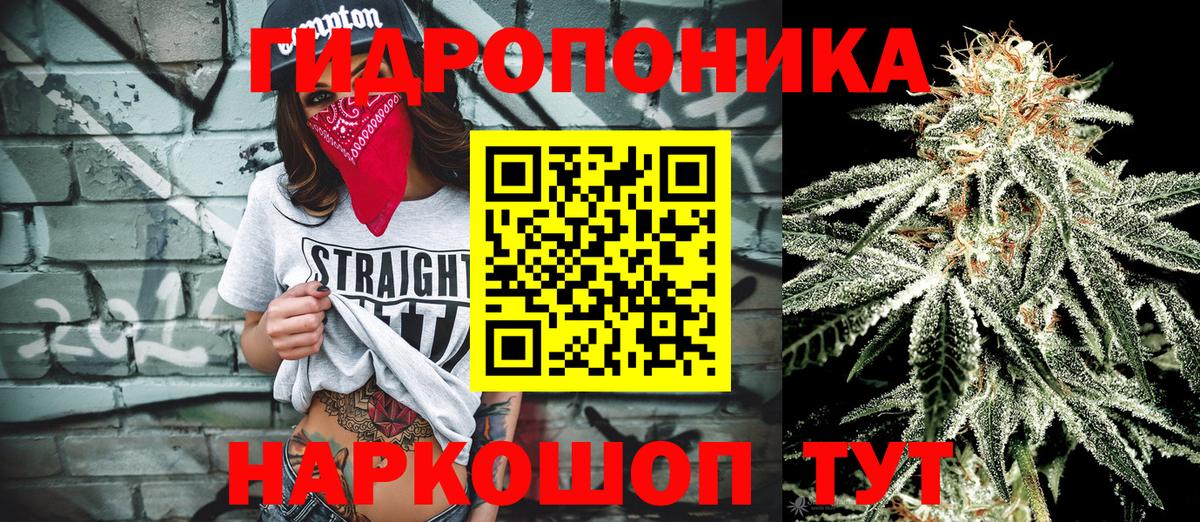 Бошки Шишки Ganja  МАРИХУАНА тримм  Каспийск  Вход с VPN  Канабис марихуана  Бошки марихуана Amnesia 